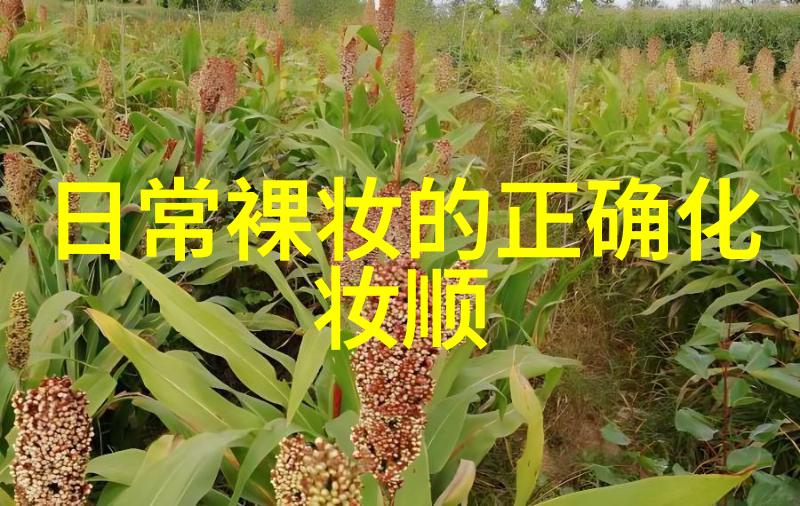 哪个牌子的口红最好用 2019最火的口红色号